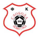 https://img.hbdxxf.com/img/football/team/b71b7bfab3d42c691e953977143504e5.png